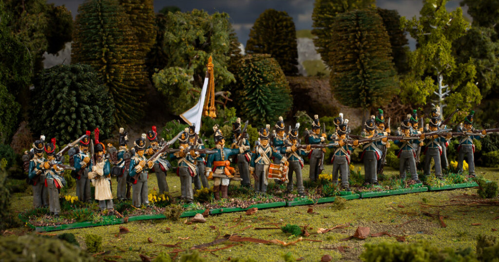 Belgian Line Infantry by Warlord Games on a woodland board.