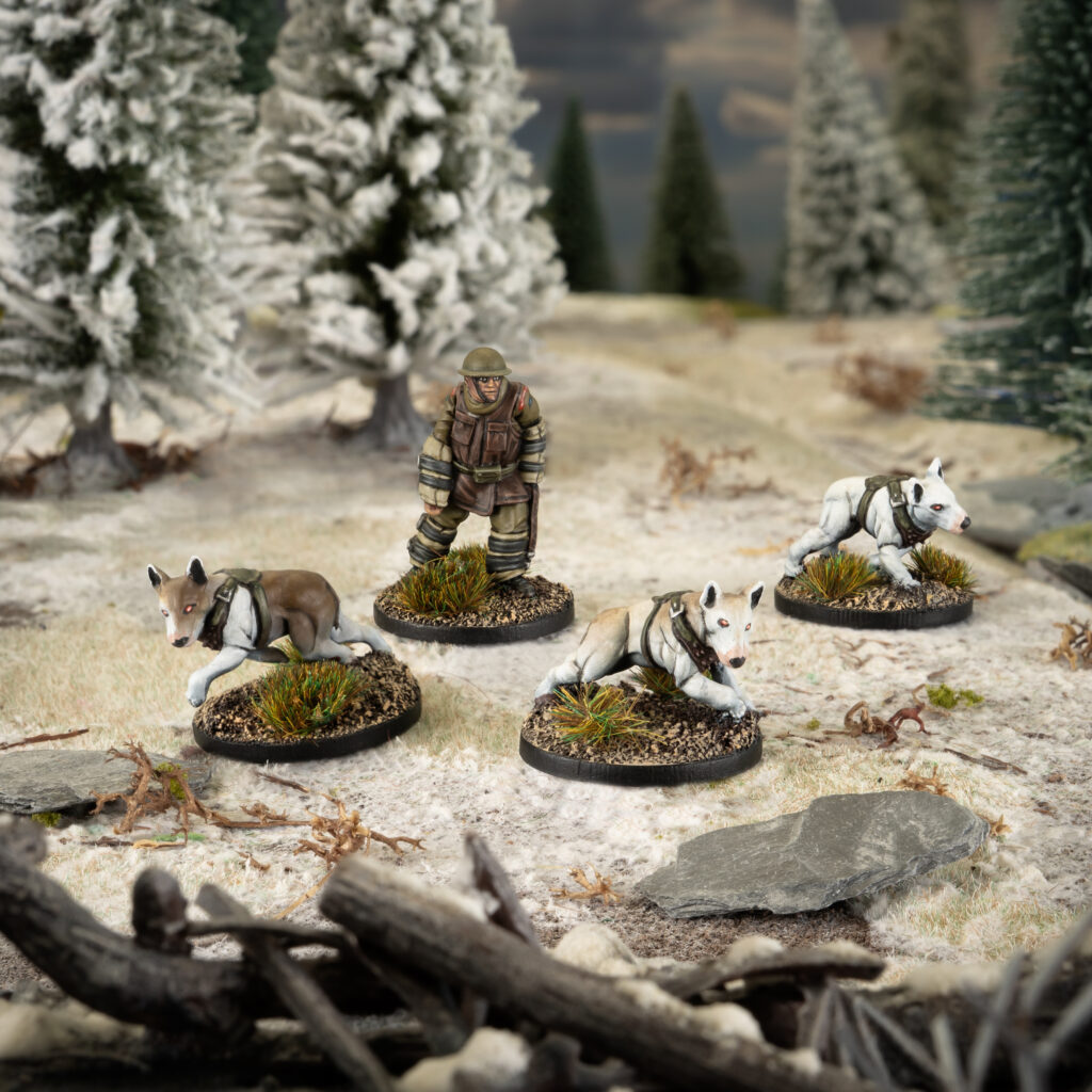 Konflikt Commonwealth troops by Warlord Games