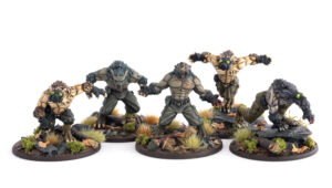 Bryan Cook Hungarians